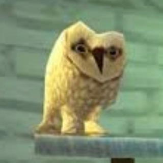 Telegram profile photo for Дорин Помидорин 🦉