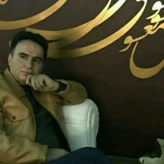 Telegram profile photo for داود همراز