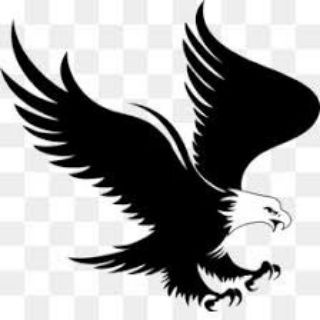Telegram profile photo for عقاب العودة- Blogger
