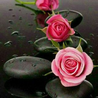 Telegram profile photo for داستان زندگی