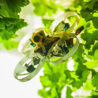 Telegram profile photo for zest_m fpv racing