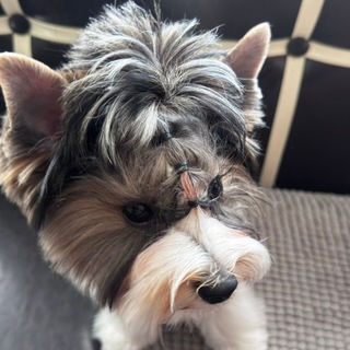 Telegram profile photo for Жизнь Тедда ❤️❤️❤️