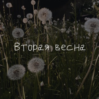 Telegram profile photo for Привет, вторая весна!
