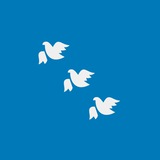 Telegram profile photo for Кстати, Курск