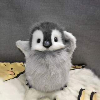 Telegram profile photo for $pengi portal