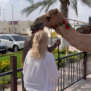 Telegram profile photo for Шейха | الشيخة