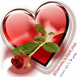 Telegram profile photo for چشم ها را باید شست🍎
