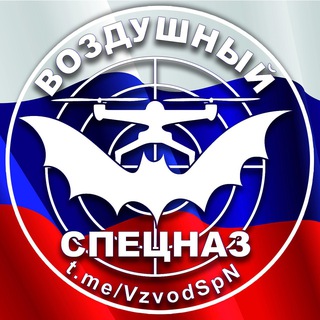Telegram profile photo for ВОЗДУШНЫЙ СПЕЦНАЗ 🇷🇺