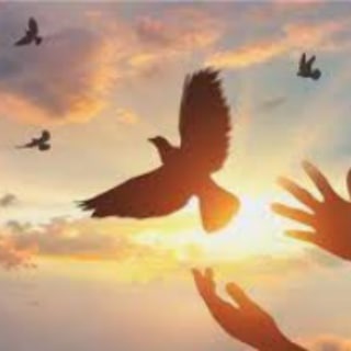 Telegram group profile photo for Save Our Future