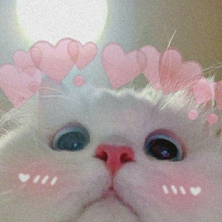 Telegram profile photo for Котя Cards