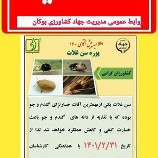 Telegram profile photo for کشاورزان پیشرو مرکز سیمینه
