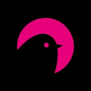 Telegram profile photo for KSM Starter (Karus)