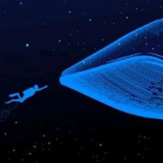 Telegram profile photo for Whale Tracker