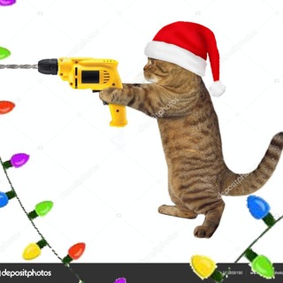 Telegram group profile photo for Бублики в Рублики