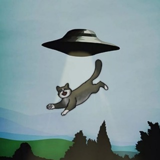 Telegram profile photo for Ворона в запое|лиссиная жестб