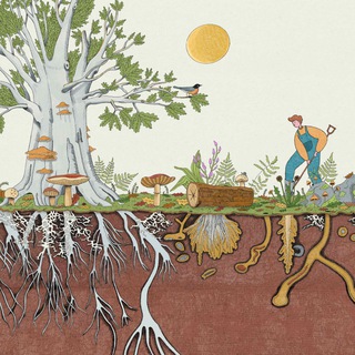 Telegram profile photo for Bosco di Ogigia Gruppo