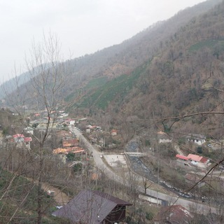 Telegram profile photo for علیسرای سیاهمزگی