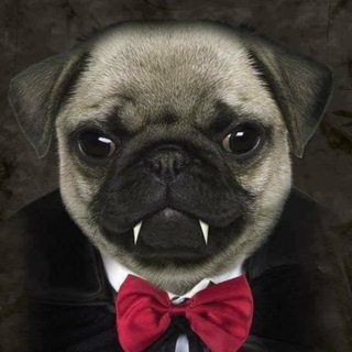 Telegram profile photo for илоч #bloodhunters