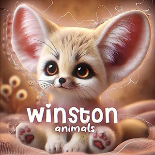 Telegram profile photo for 💥Wiᥒsᴛ᧐ᥒ 𝚊𝚗𝚒𝚖𝚊𝚕𝚜🚬