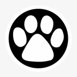 Telegram profile photo for El Gato