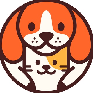 Telegram profile photo for PayBySol