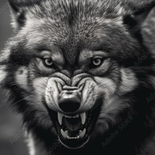 Telegram profile photo for Хищный оскал