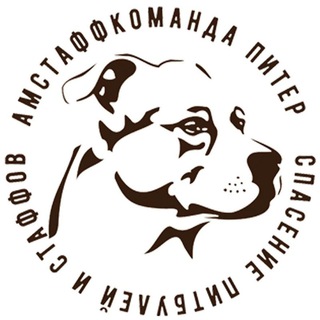 Telegram profile photo for АмстаффКоманда Питер