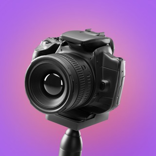 Telegram profile photo for Фотостудия для маркетплейсов и брендов | MODULSTUDIO