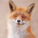 Telegram profile photo for Мимимишность😻