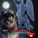 Telegram profile photo for По тропинкам бородача