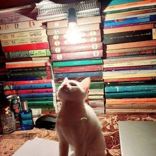 Telegram profile photo for لمَّا الإنسان