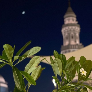 Telegram profile photo for فَإِنِّي قَرِيبٌ🌼