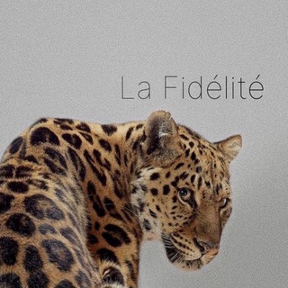Telegram profile photo for La Fidelite DROP🍒