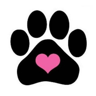 Telegram group profile photo for Животные Символа