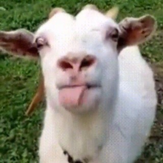 Telegram profile photo for Попка козла🤮🎀
