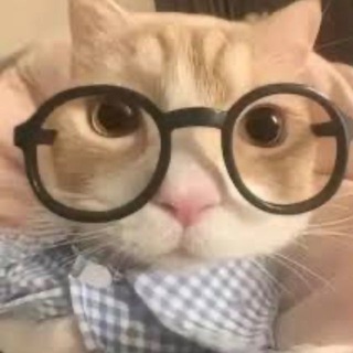 Telegram profile photo for Hội Nghiện Văn Minh🎰