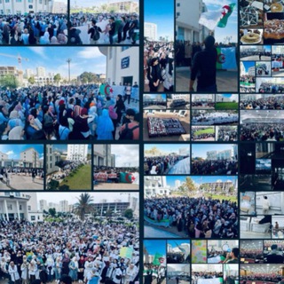 Telegram profile photo for طلبة كلية الطب - وهران -