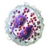 Telegram profile photo for DMLT ( Diploma in medical laboratory technician)