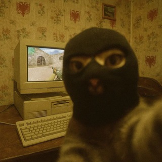 Telegram profile photo for путь к алкоголизму