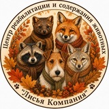 Telegram profile photo for 🦊 Лисья компания 🦊