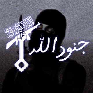 Telegram profile photo for آرشیو جندالگا