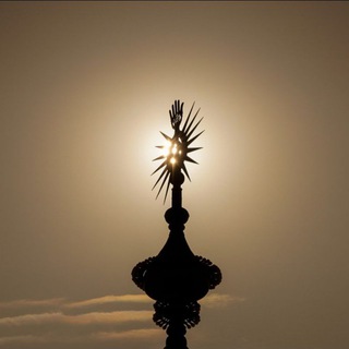 Telegram profile photo for حُـبّ ؏َـلِيَ.