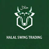 Telegram profile photo for Halal Swing Trading Indian Stock Exchange