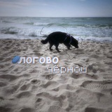 Telegram profile photo for .