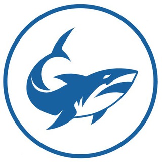 Telegram profile photo for Bounty Shark