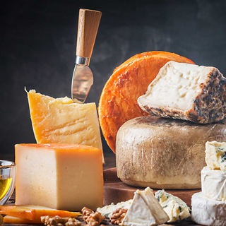 Telegram profile photo for Cheesebox