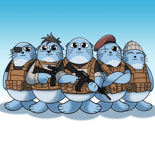 Telegram profile photo for Seal Team SIX