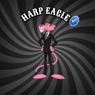 Telegram profile photo for ππΌπππ ππΌπππ Β³