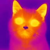 Telegram profile photo for undervalued | portal