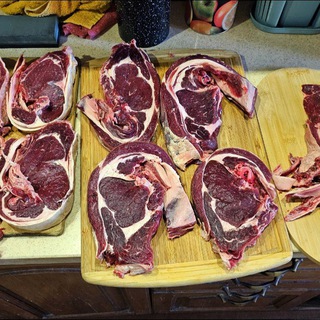 Telegram profile photo for Carnivore Chat